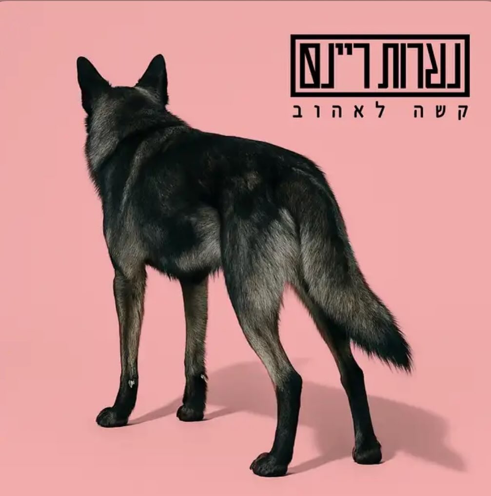 עטיפת האלבום קשה לאהוב של נערות ריינס