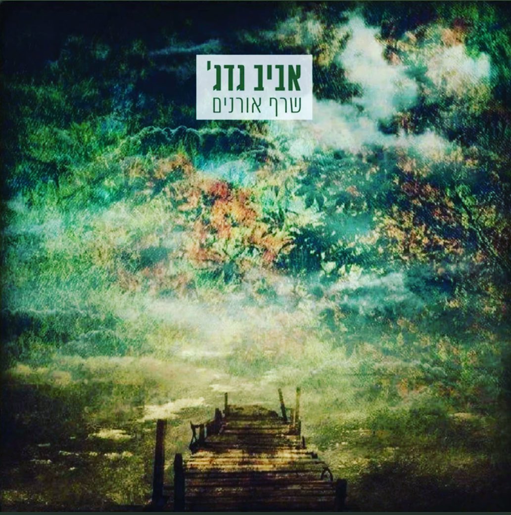 עטיפת האלבום שרף אורנים של אביב גדג'