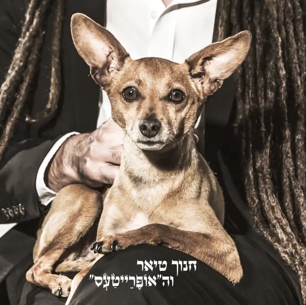 עטיפת האלבום חנוך טיאר והאופרייטעס של חנוך טיאר והאופרייטעס