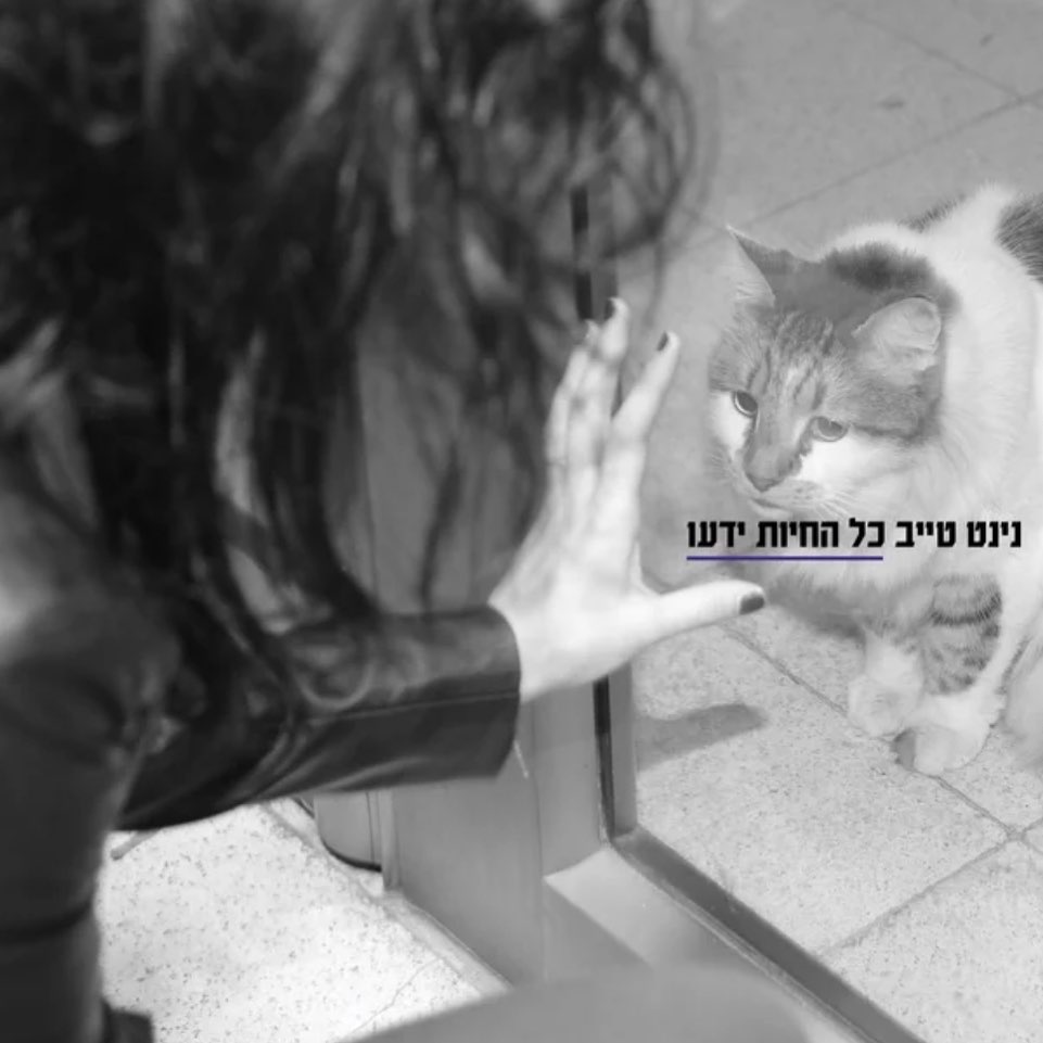 עטיפת האלבום כל החיות ידעו של נינט טייב