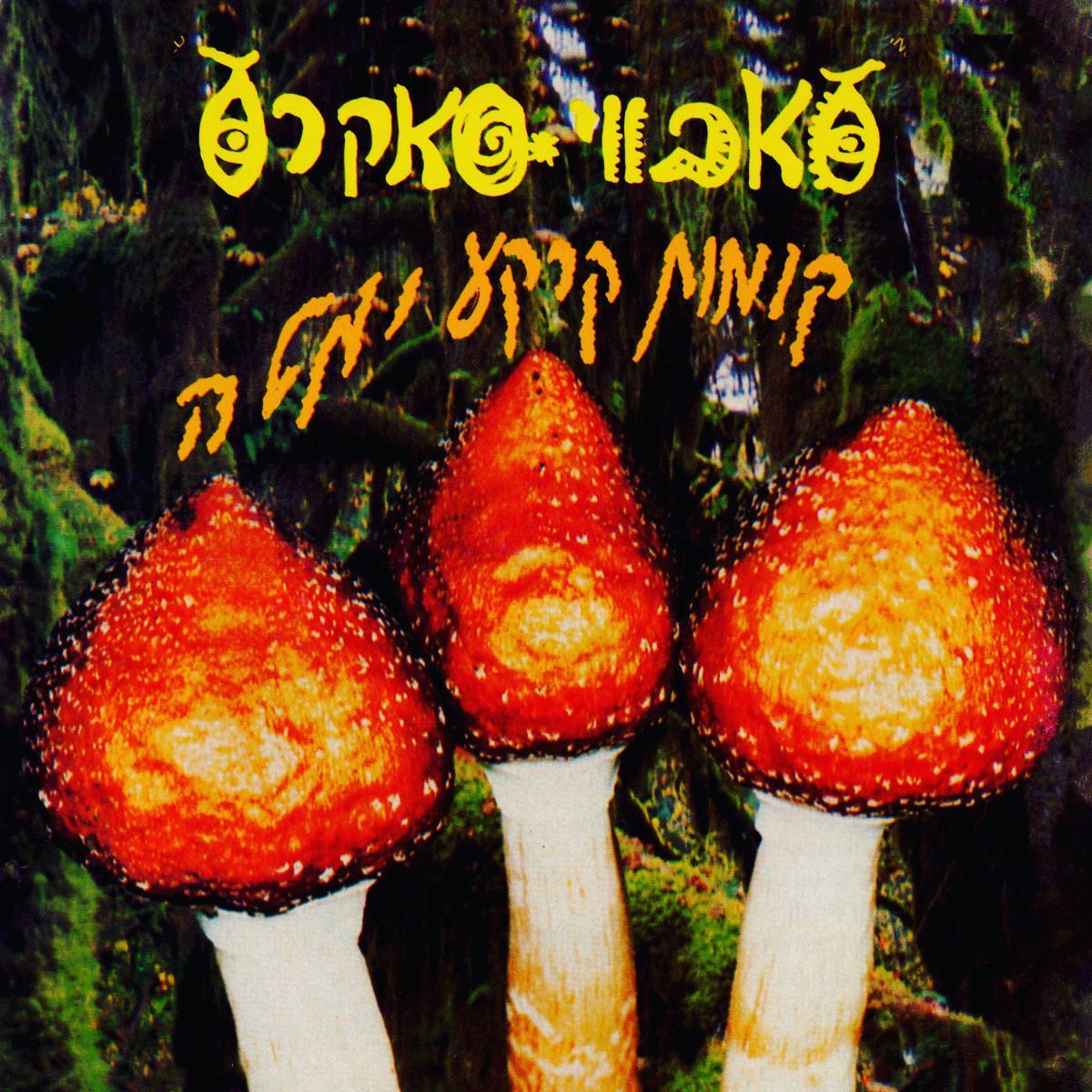 עטיפת האלבום קומות קרקע ומטה של סאבווי סאקרס