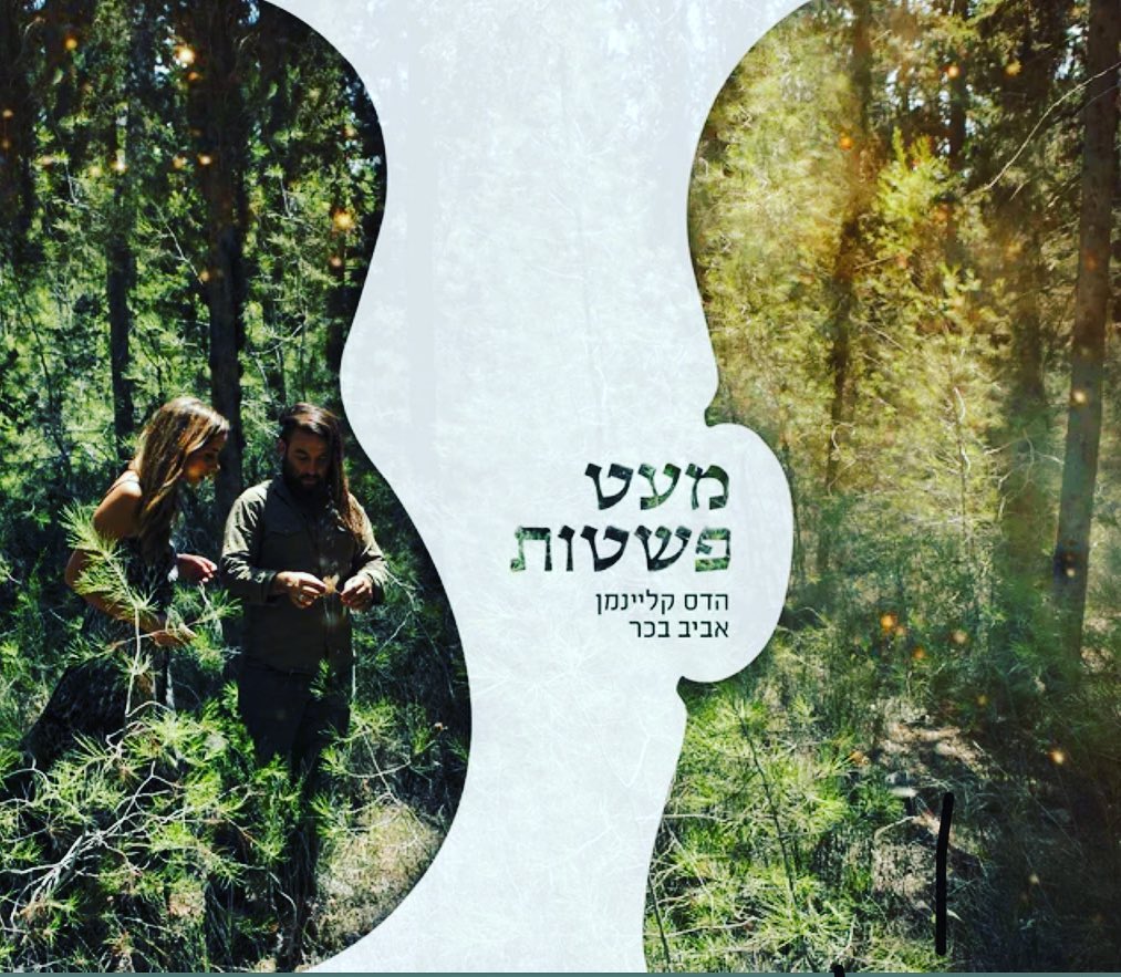 עטיפת האלבום מעט פשטות של הדס קליינמן ואביב בכר