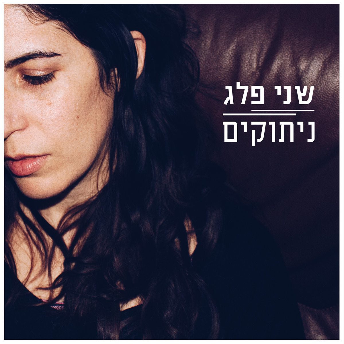 עטיפת האלבום ניתוקים של שני פלג