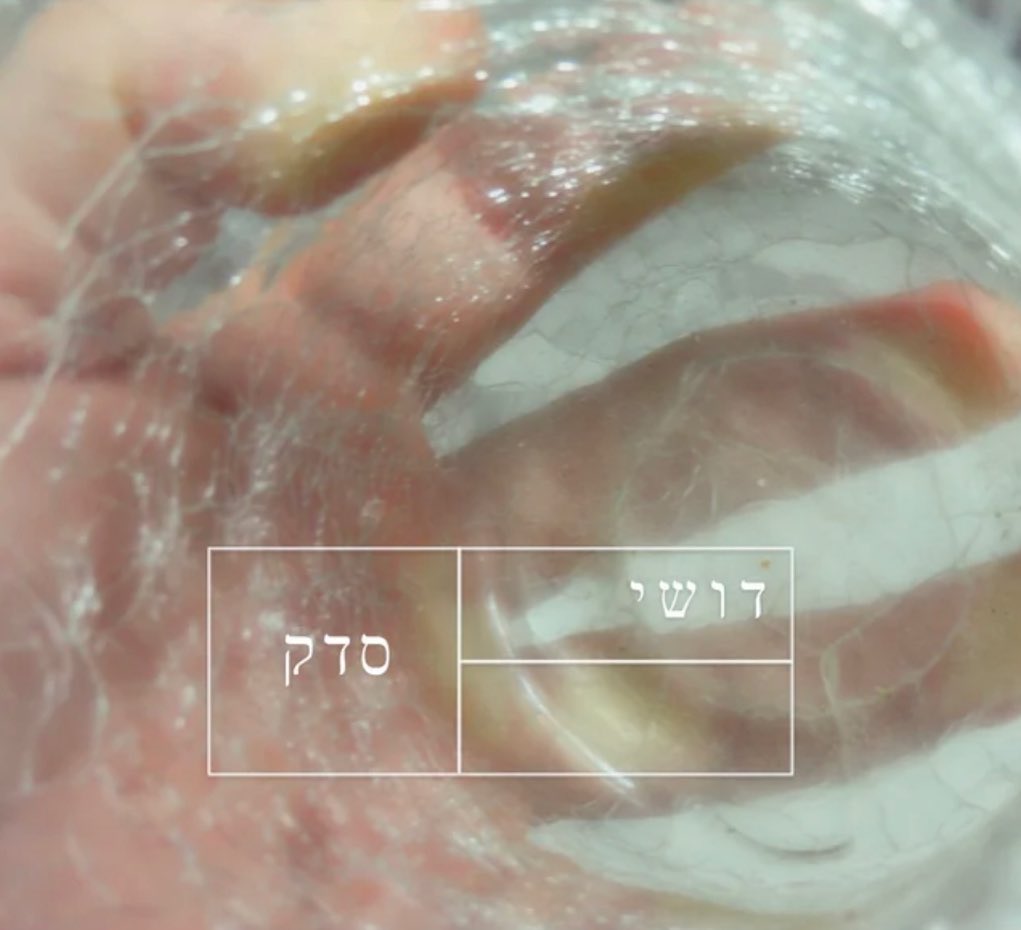 עטיפת האלבום סדק של דושי