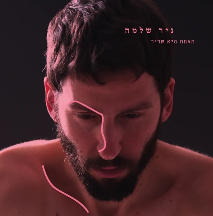 עטיפת האלבום האמת היא שריר של ניר שלמה