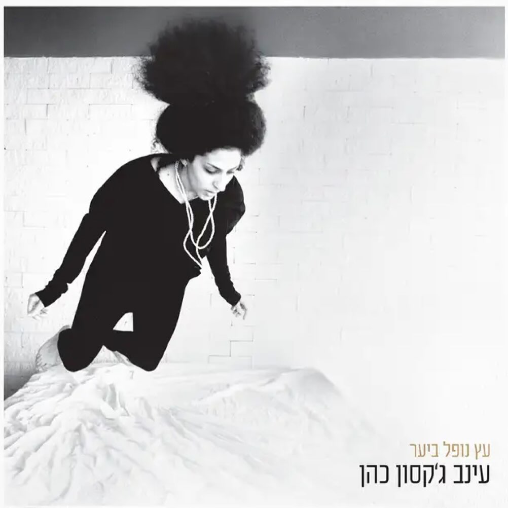 עטיפת האלבום עץ נופל ביער של עינב ג׳קסון כהן