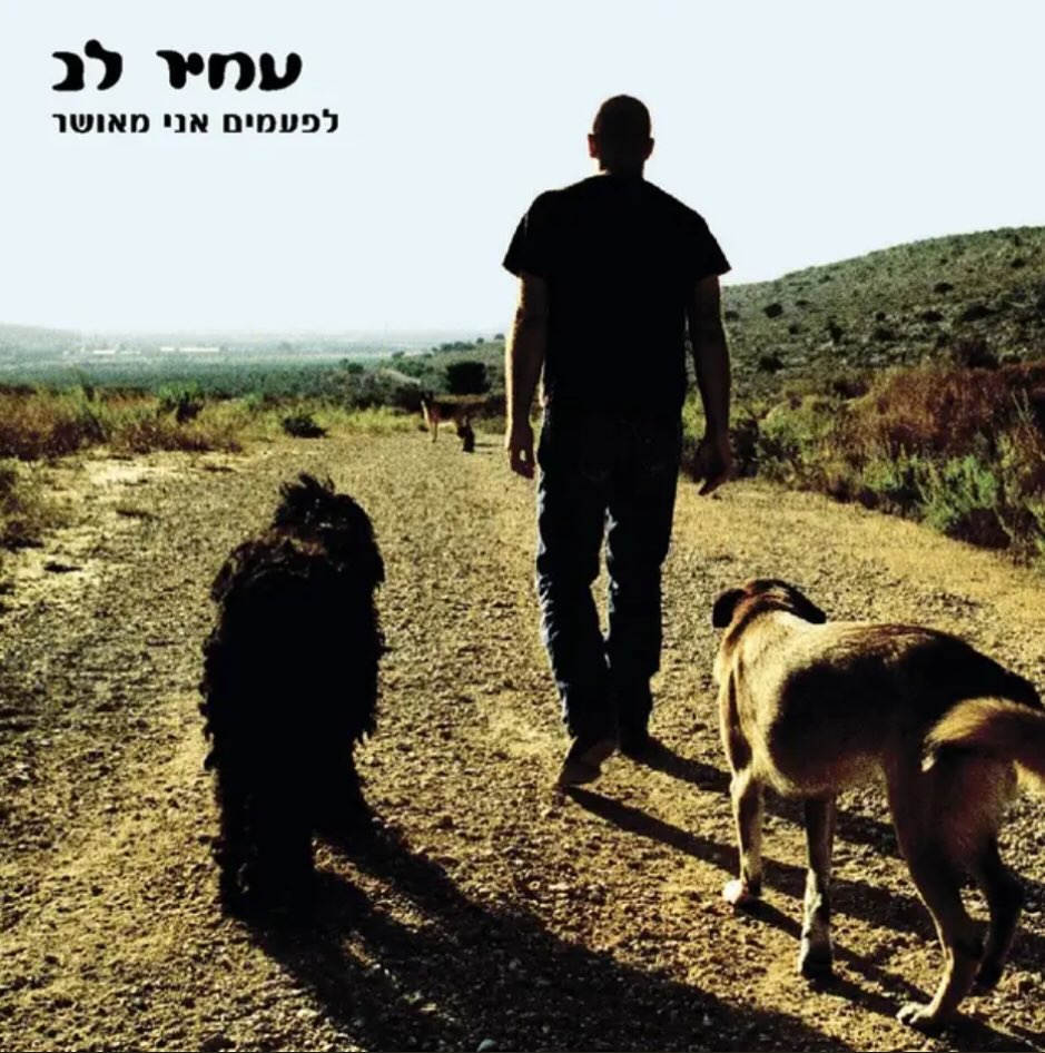 עטיפת האלבום לפעמים אני מאושר של עמיר לב
